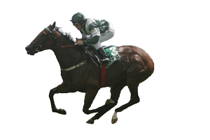 Virtual horse racing and horse racing games